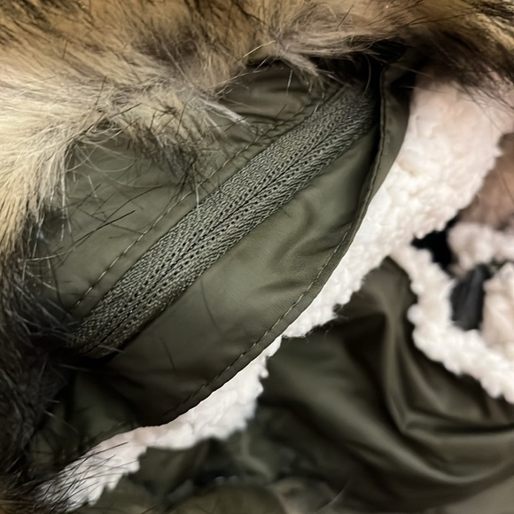 NWT Eddie Bauer size tall medium Lodge Cascadian Down Parka - Picture 4 of 11